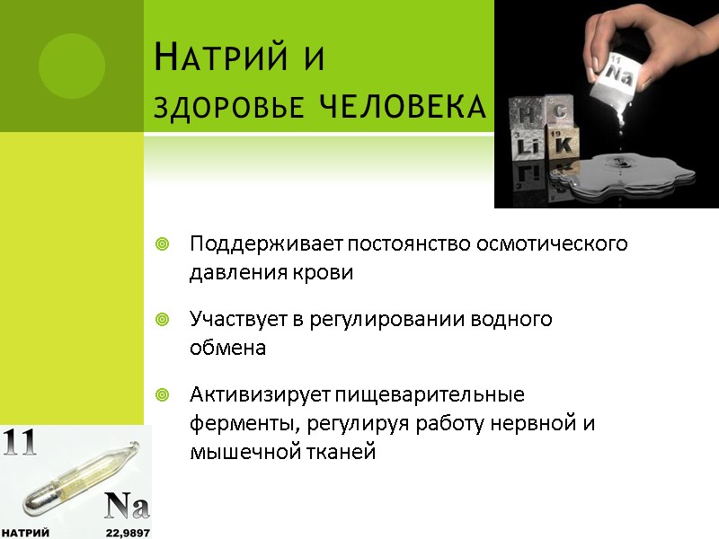 Натрий и здоровье человека Поддерживает постоянство осмотического давления крови Участвует в регулировании водного обмена